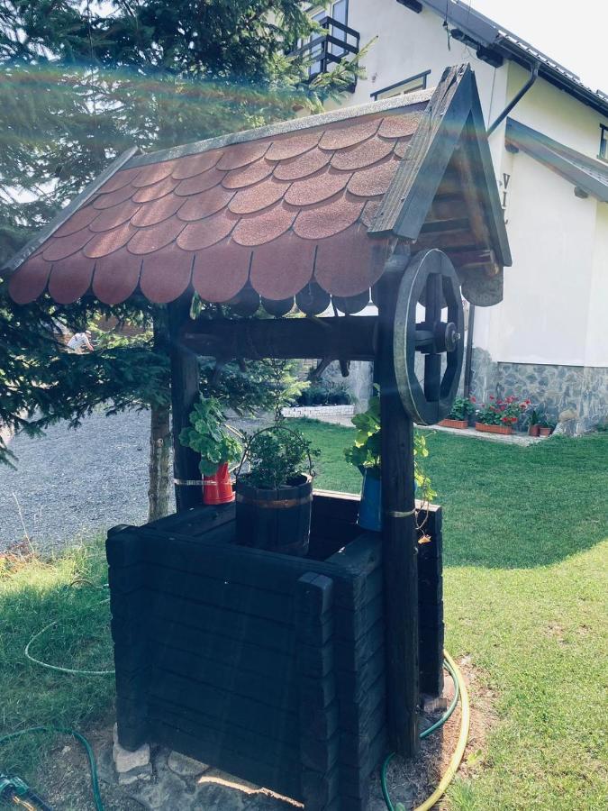 Pensiunea Casa Ady Bran  Bagian luar foto